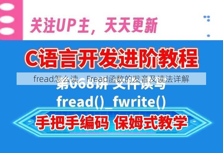 fread怎么读