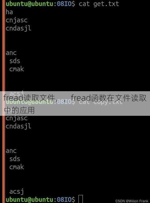 fread读取文件