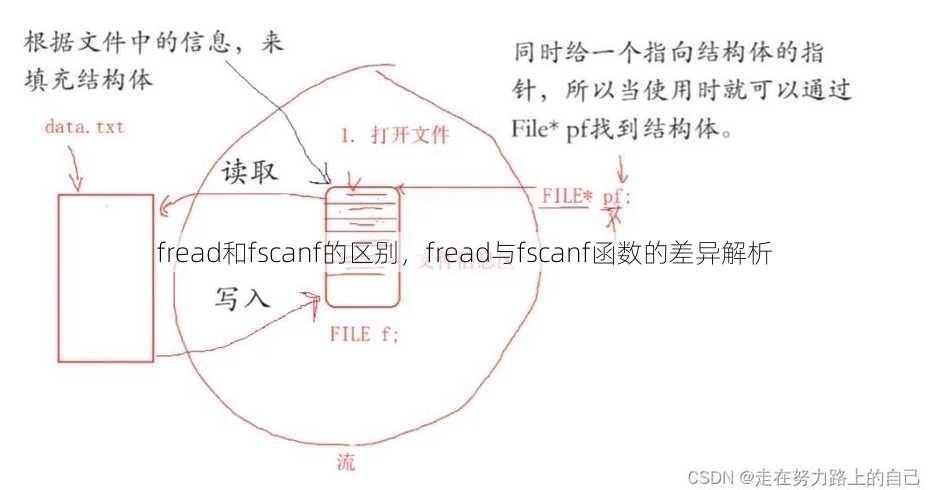 fread和fscanf的区别