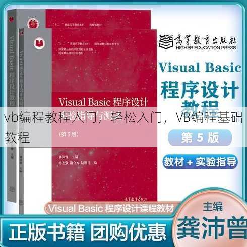 vb编程教程入门