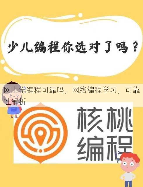 网上学编程可靠吗