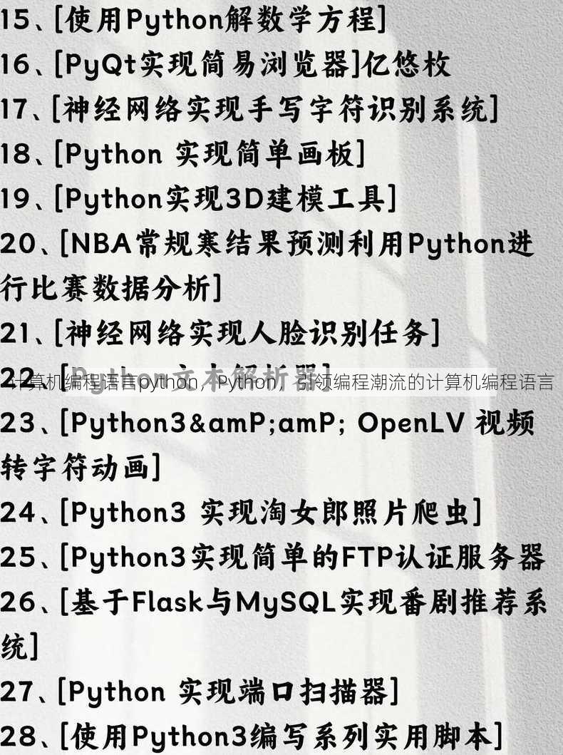 计算机编程语言python