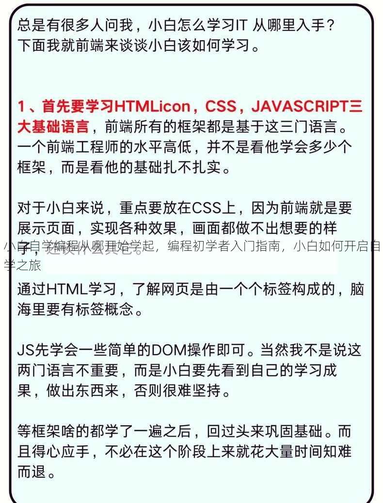 小白自学编程从哪开始学起