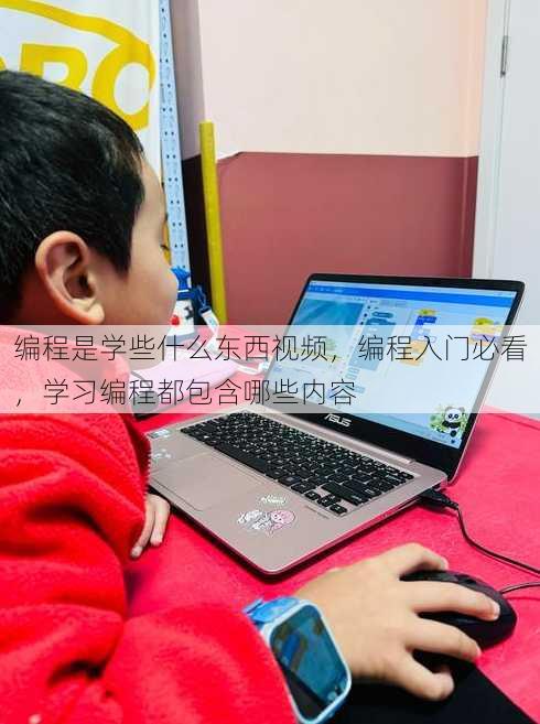 编程是学些什么东西视频