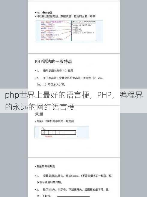php世界上最好的语言梗