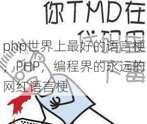 php世界上最好的语言梗