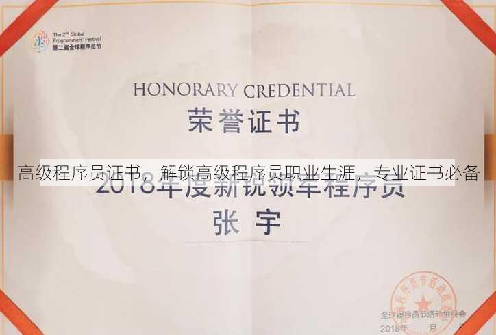 高级程序员证书