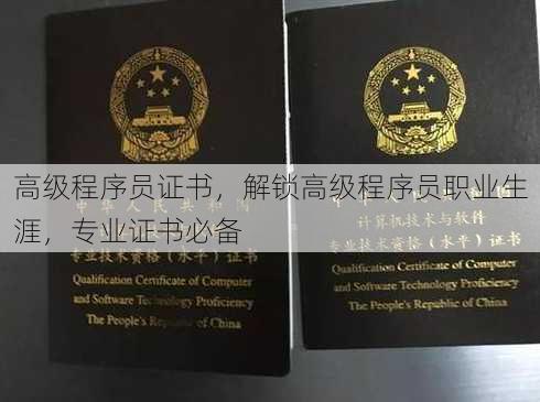 高级程序员证书