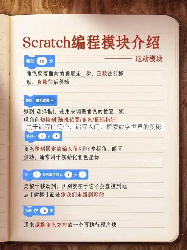 关于编程的简介