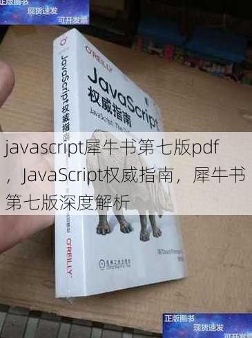 javascript犀牛书第七版pdf