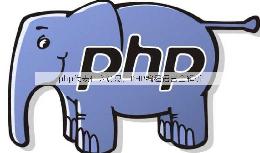 php代表什么意思