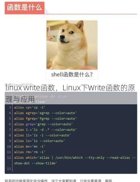 linux write函数