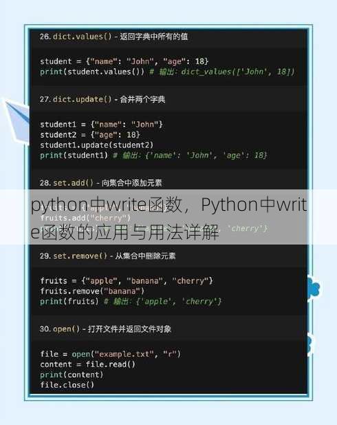 python中write函数