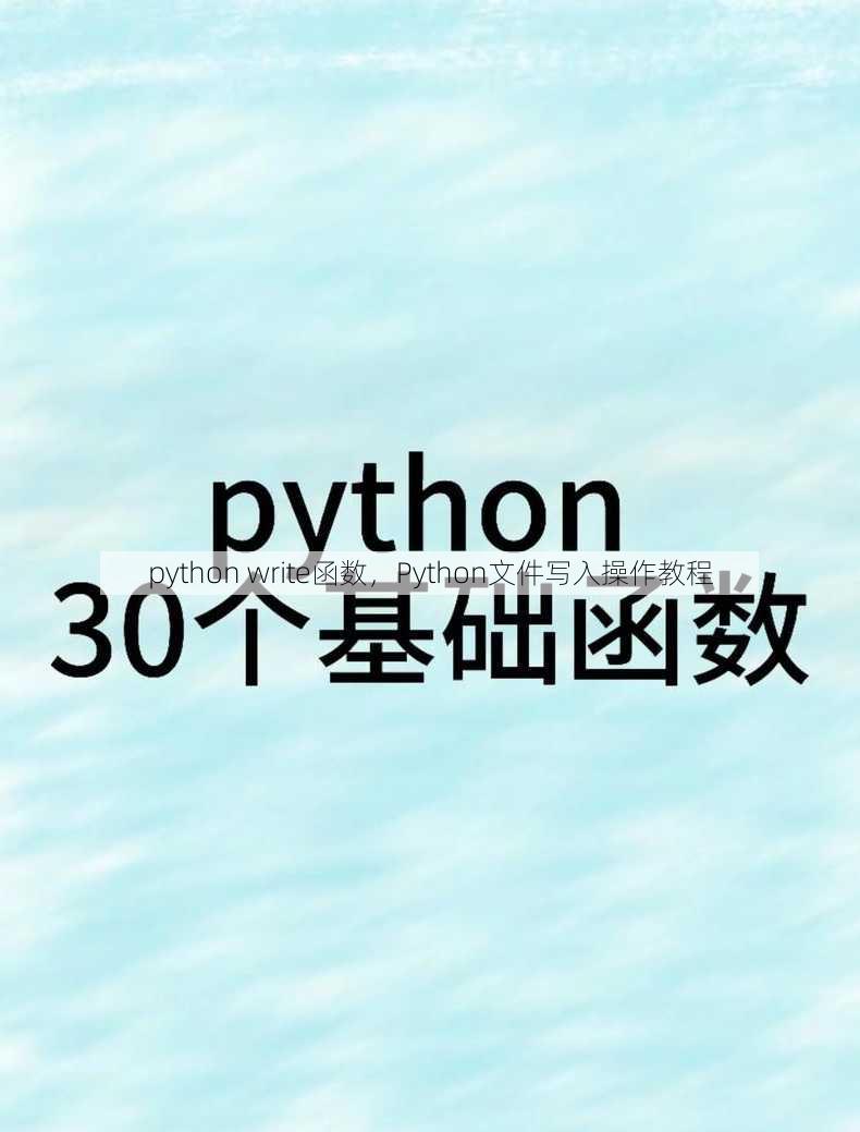 python write函数