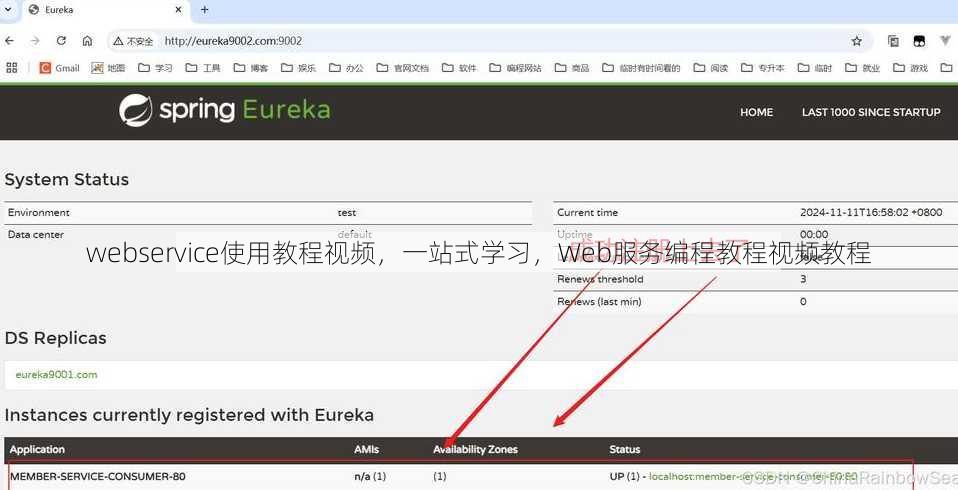 webservice使用教程视频