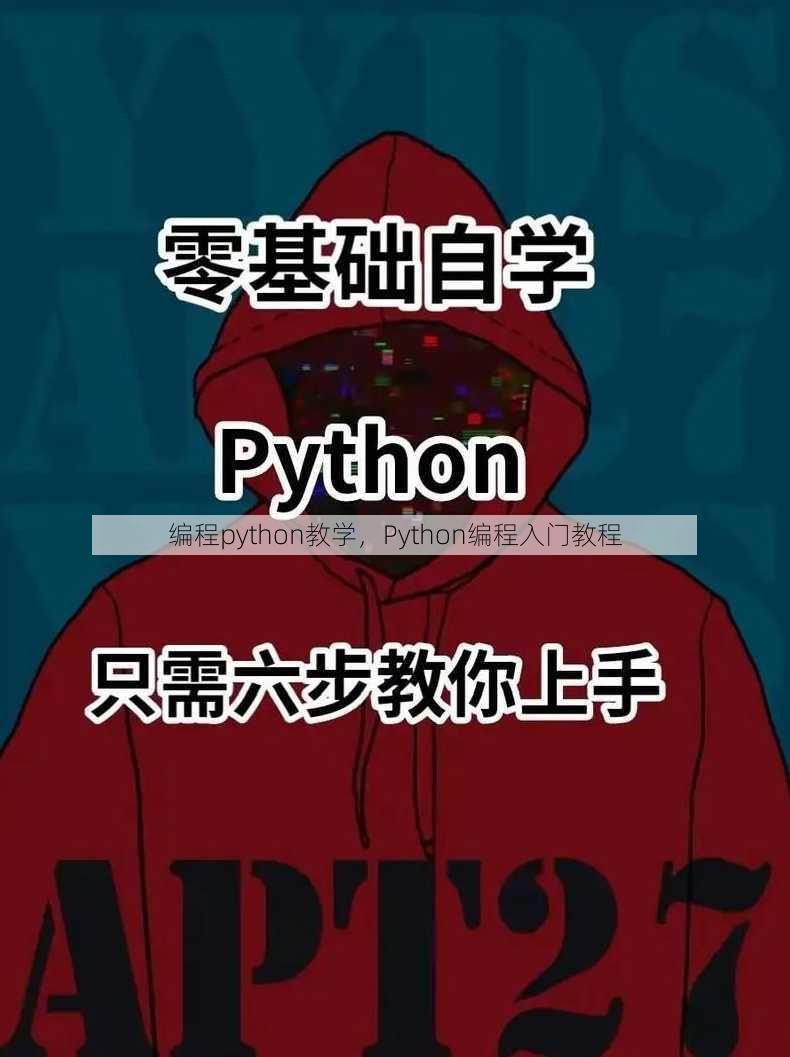 编程python教学