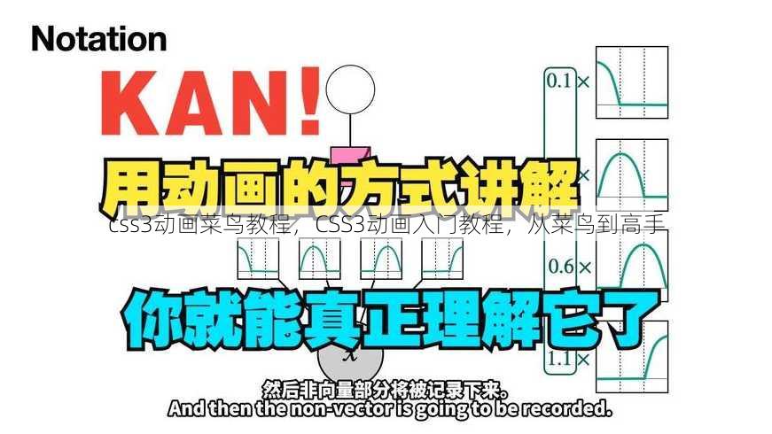 css3动画菜鸟教程
