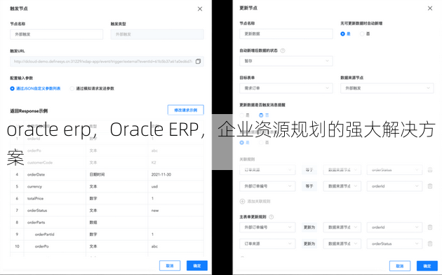oracle erp