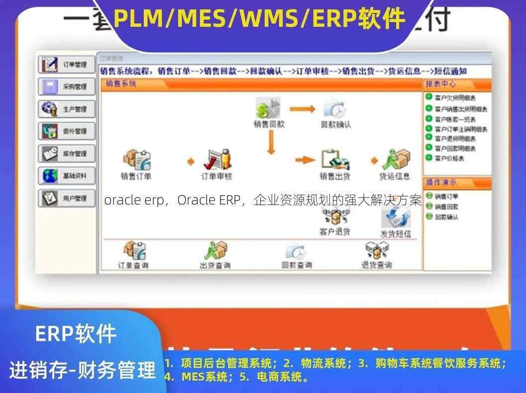 oracle erp