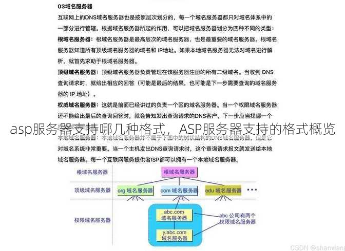 asp服务器支持哪几种格式