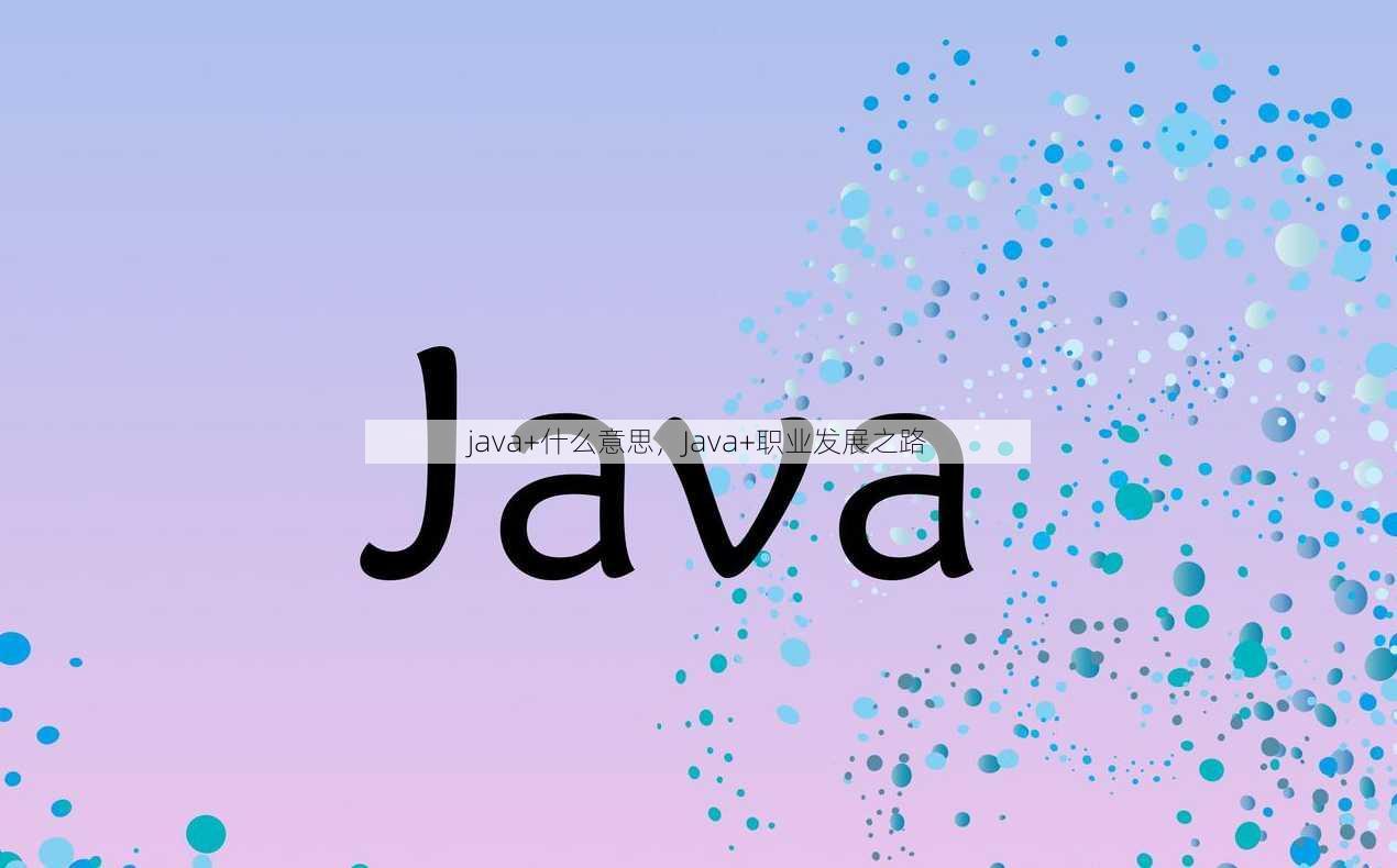 java+什么意思