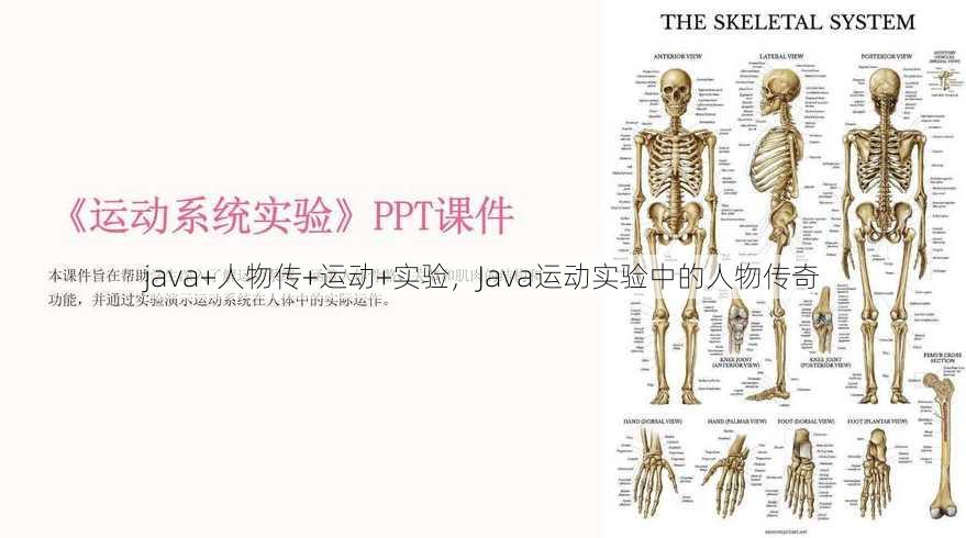 java+人物传+运动+实验