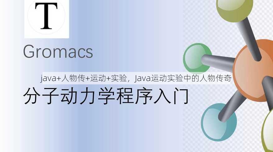 java+人物传+运动+实验