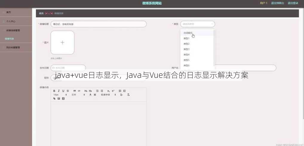 java+vue日志显示