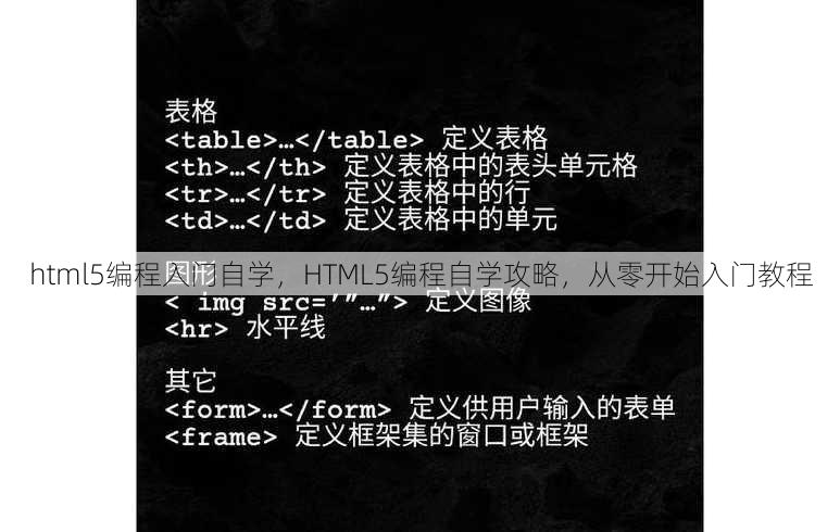 html5编程入门自学