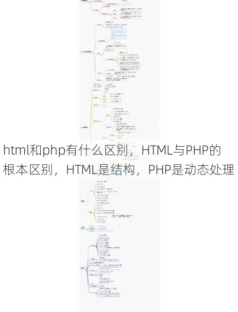 html和php有什么区别