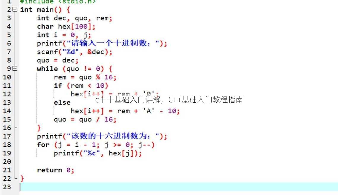 c十十基础入门讲解