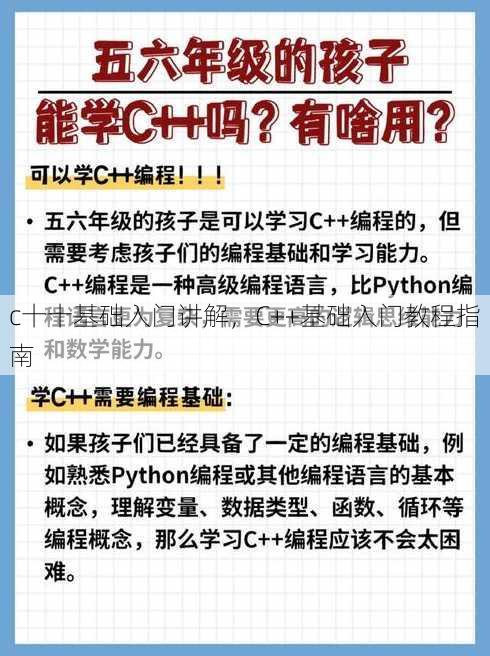 c十十基础入门讲解