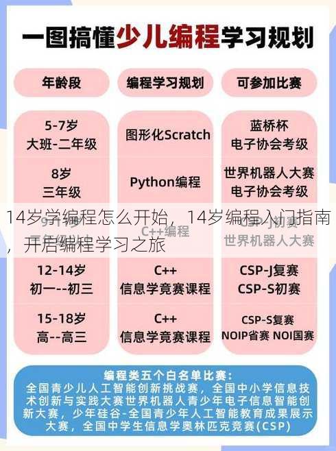 14岁学编程怎么开始