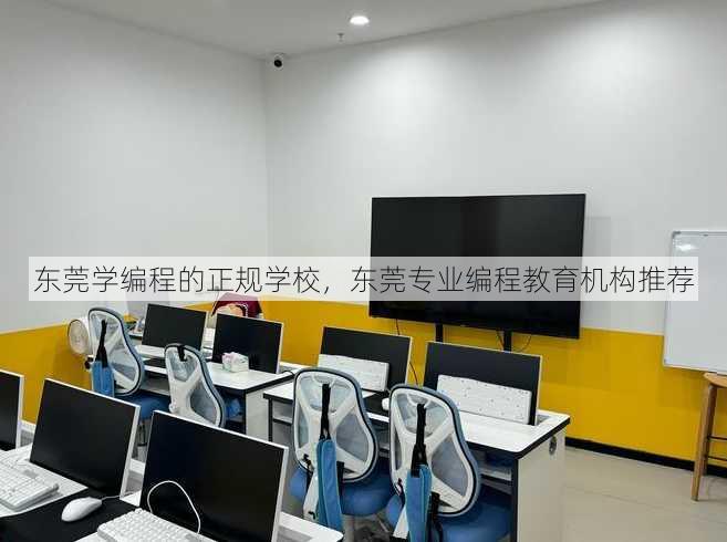 东莞学编程的正规学校