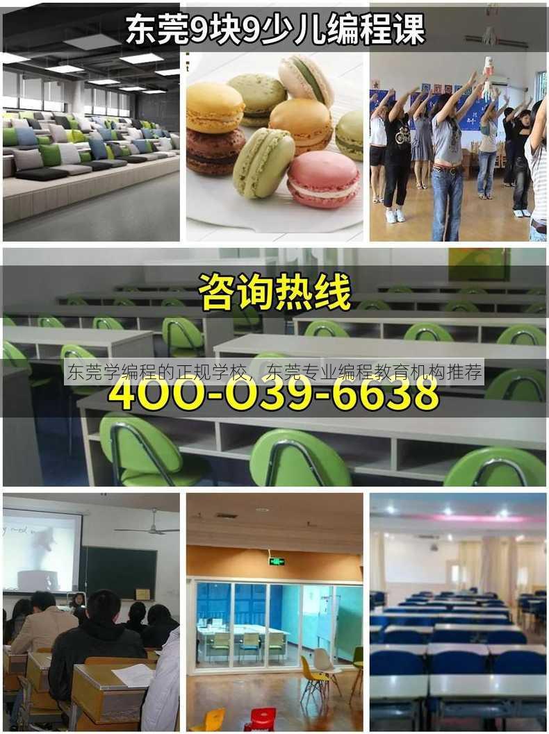 东莞学编程的正规学校