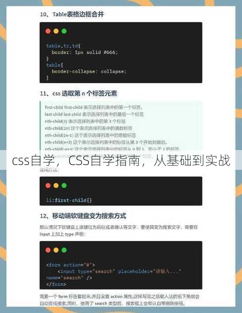 css自学