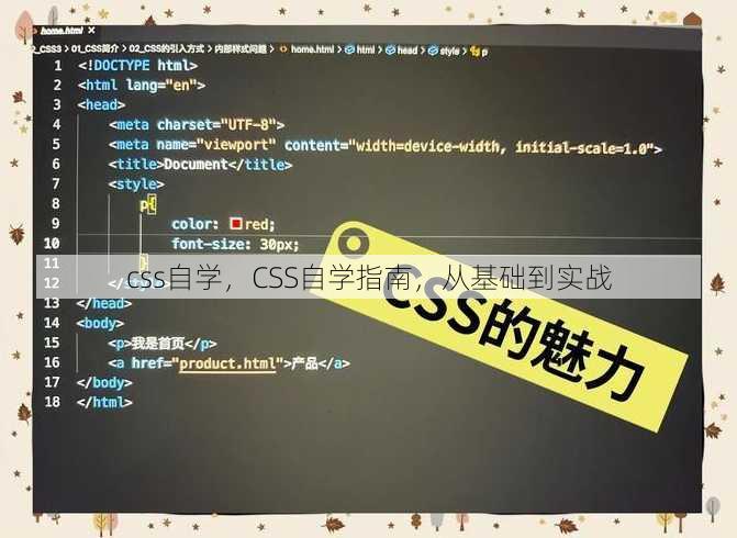 css自学