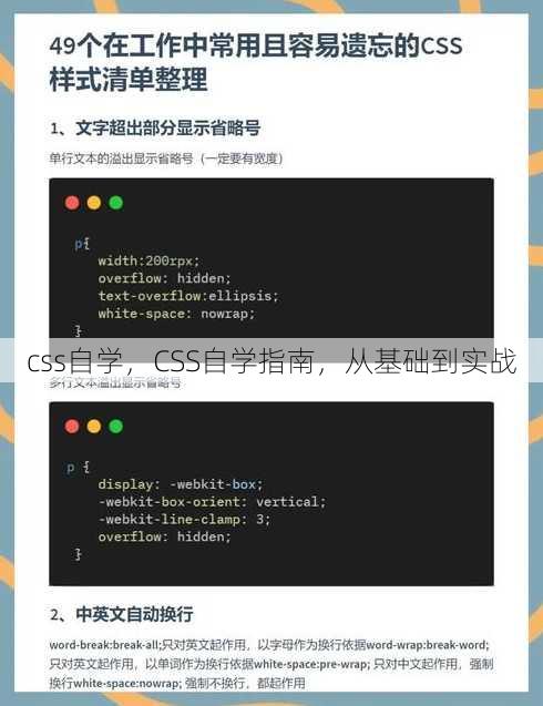 css自学