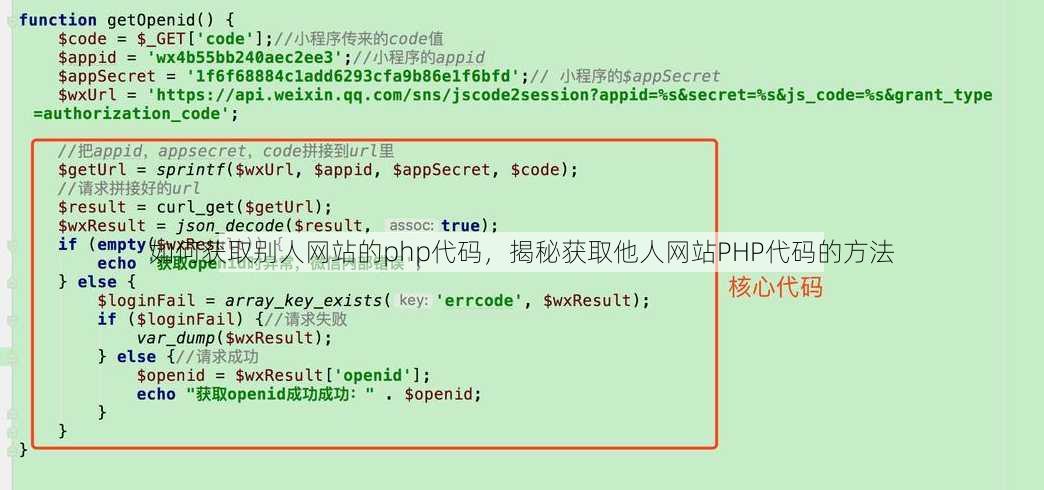 如何获取别人网站的php代码