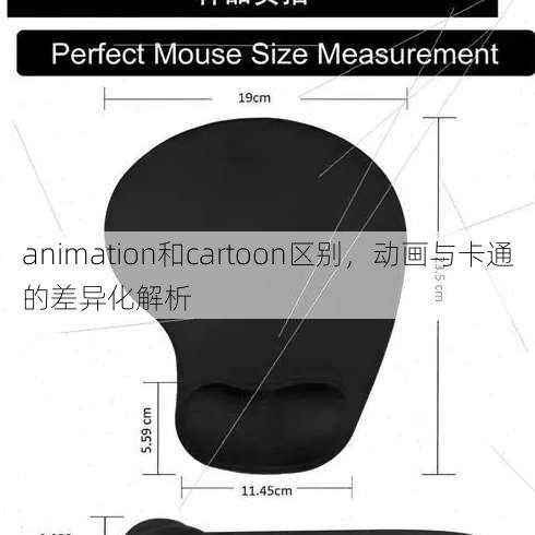 animation和cartoon区别