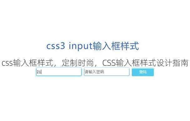 css输入框样式