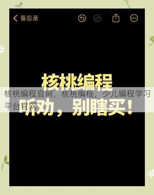 核桃编程官网