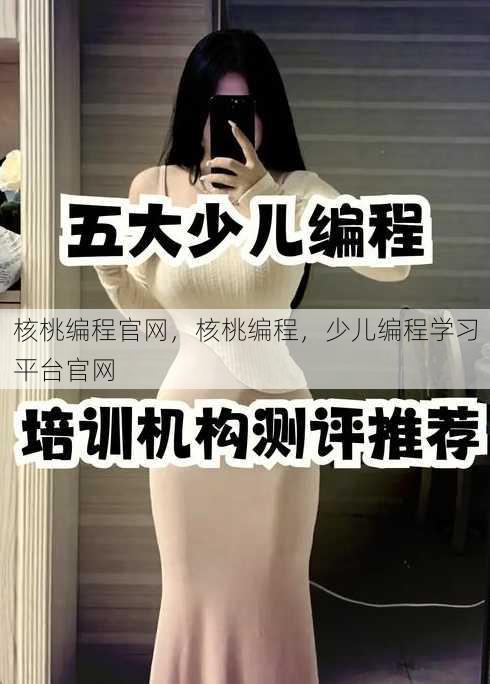 核桃编程官网