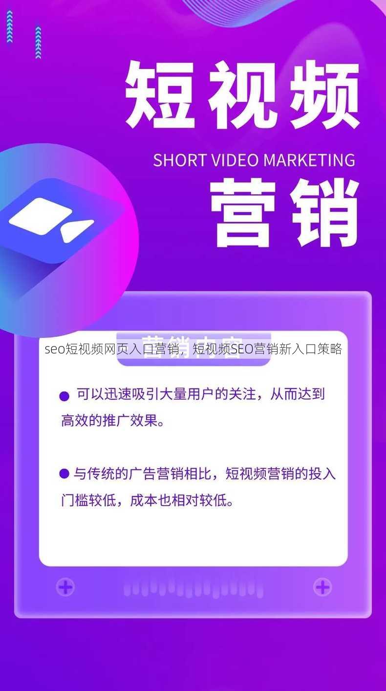 seo短视频网页入口营销