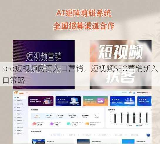 seo短视频网页入口营销