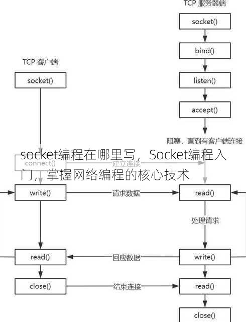 socket编程在哪里写