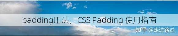padding用法