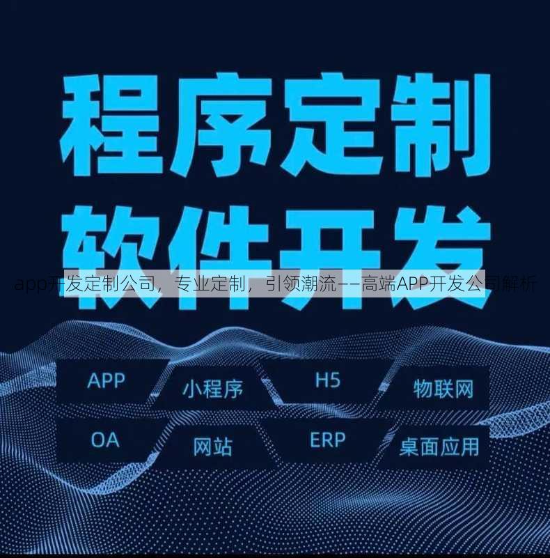 app开发定制公司