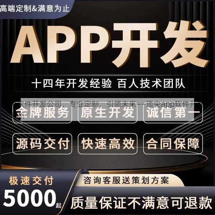 app软件开发公司