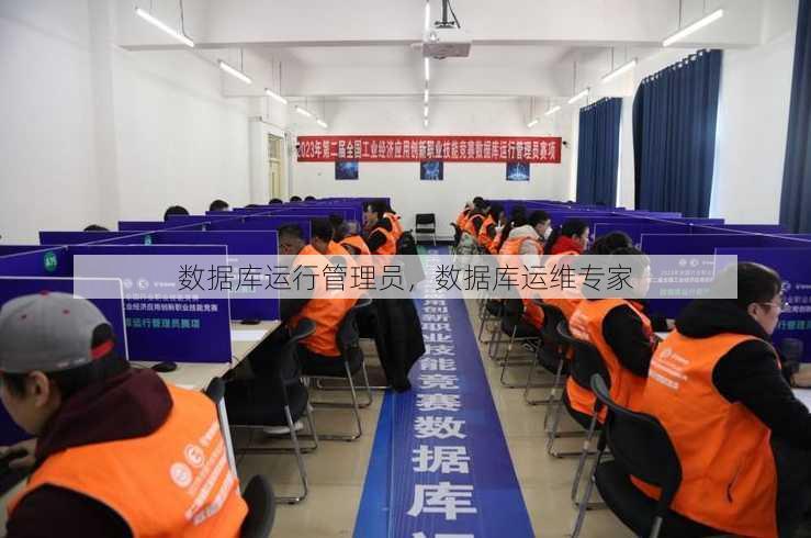 数据库运行管理员